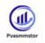 Pvasmmstor